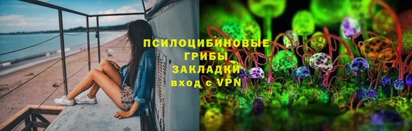 ПСИЛОЦИБИНОВЫЕ ГРИБЫ Алзамай