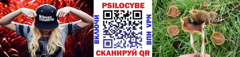 мега рабочий сайт  Чехов  Галлюциногенные грибы Psilocybine cubensis  цены наркотик 